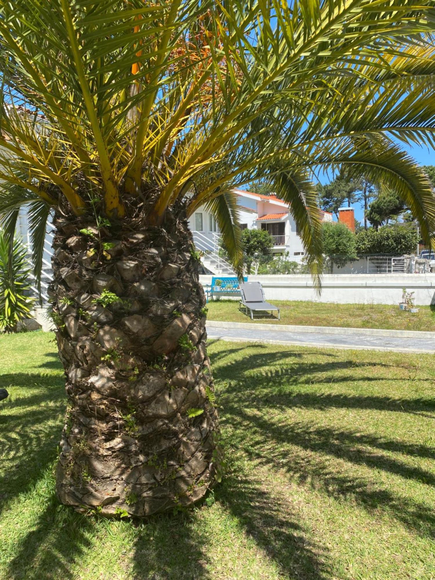 Appartement Itaca Experience Playa Do Cabedelo à Viana do Castelo Extérieur photo